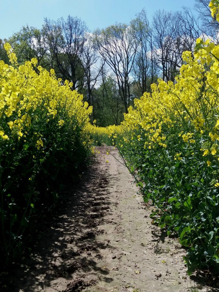 Urlaub auf dem Land Landurlaub
